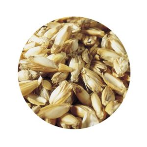 Austauschpackung 50 Liter Dinkelspelz