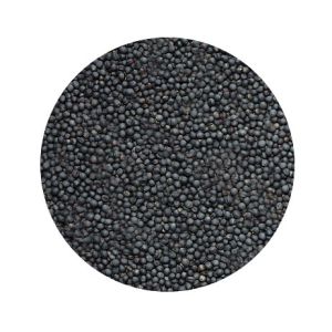 Rapssamen, lose, 1kg