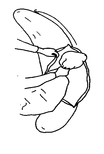 Ein Mensch liegt seitlich auf einem C-förmigen Kissen, das als Unterstützung dient. Der Kopf ruht auf einem erhöhten Abschnitt des Kissens. Das leicht stilisierte Bild zeigt eine ruhige Szene.