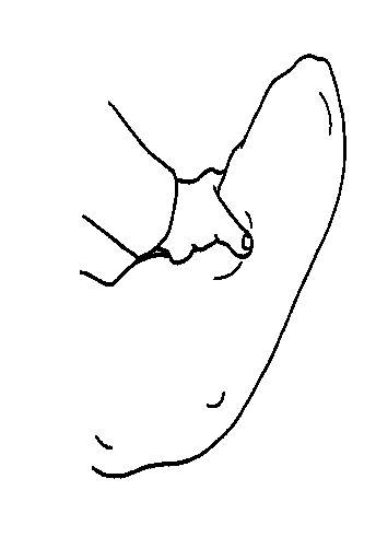 Eine Hand formt ein großes, bogenförmiges Kissen, das in einer ruhigen Umgebung liegt. Es handelt sich um ein einfaches Strichzeichnung ohne Hintergrunddetails.