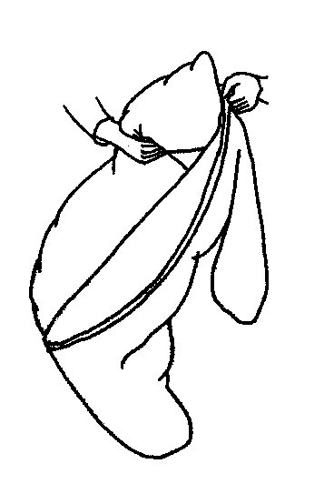 Eine Hand hält ein längliches Kissen, während ein Bezug darauf gezogen wird. Die Darstellung erfolgt als einfache Schwarz-Weiß-Linienzeichnung, die den Vorgang illustriert.